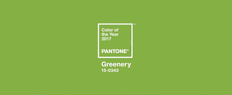 Greenery - najmodniejszy kolor roku 2017 wg Instytutu Pantone.